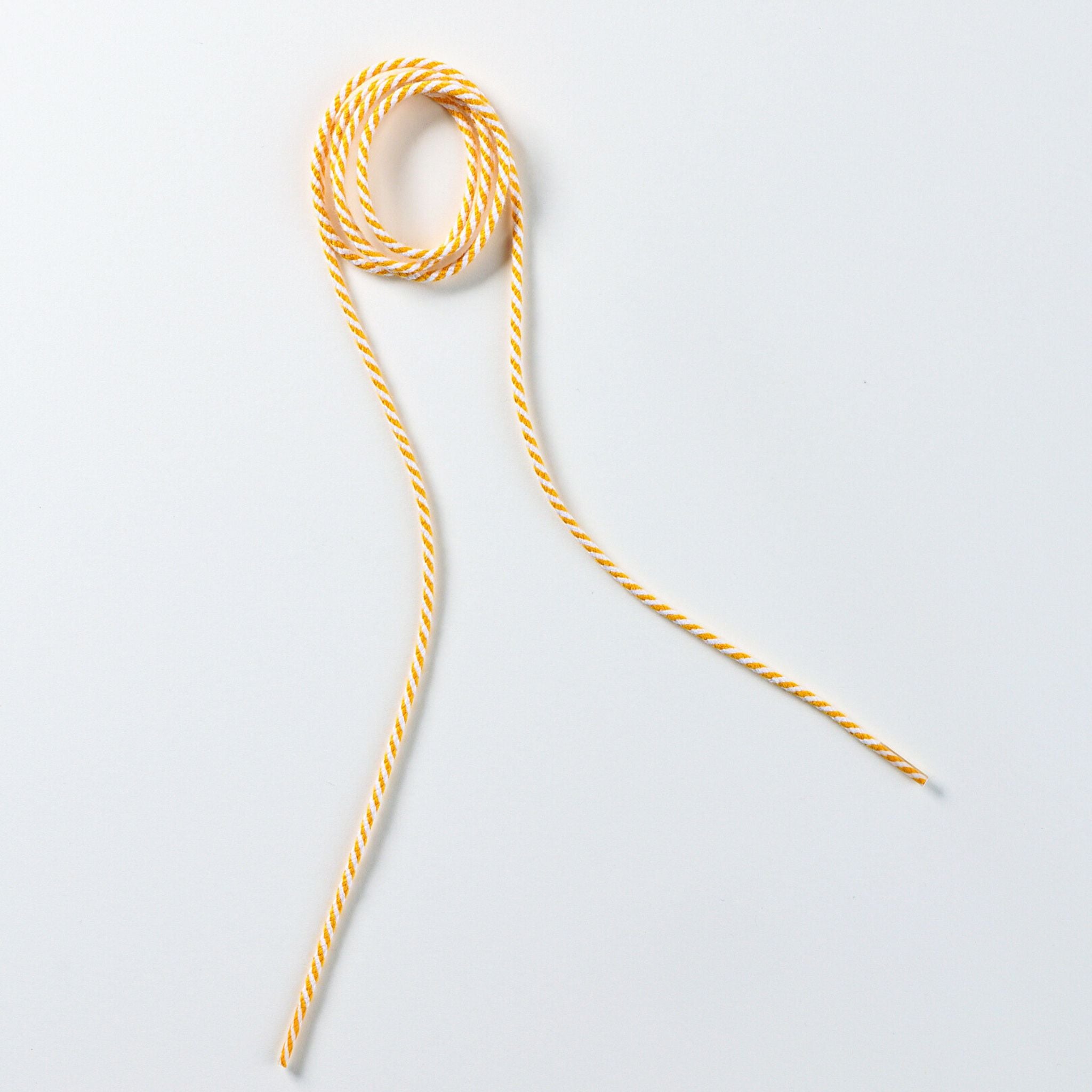 Colorful Straps for MIO Locket